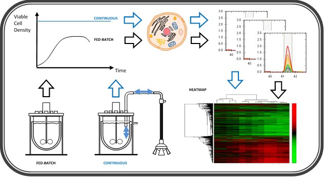 Enlarged view: Process Characterization: Applying Omics Technologies to better understand cell culture manufacturing of recombinant proteins