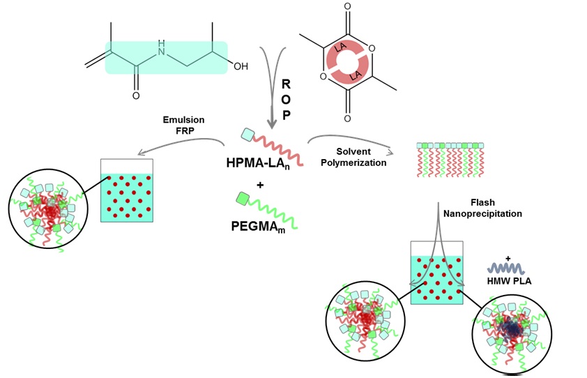 Enlarged view: HPMA-based materials for protein delivery and cell encapsulation